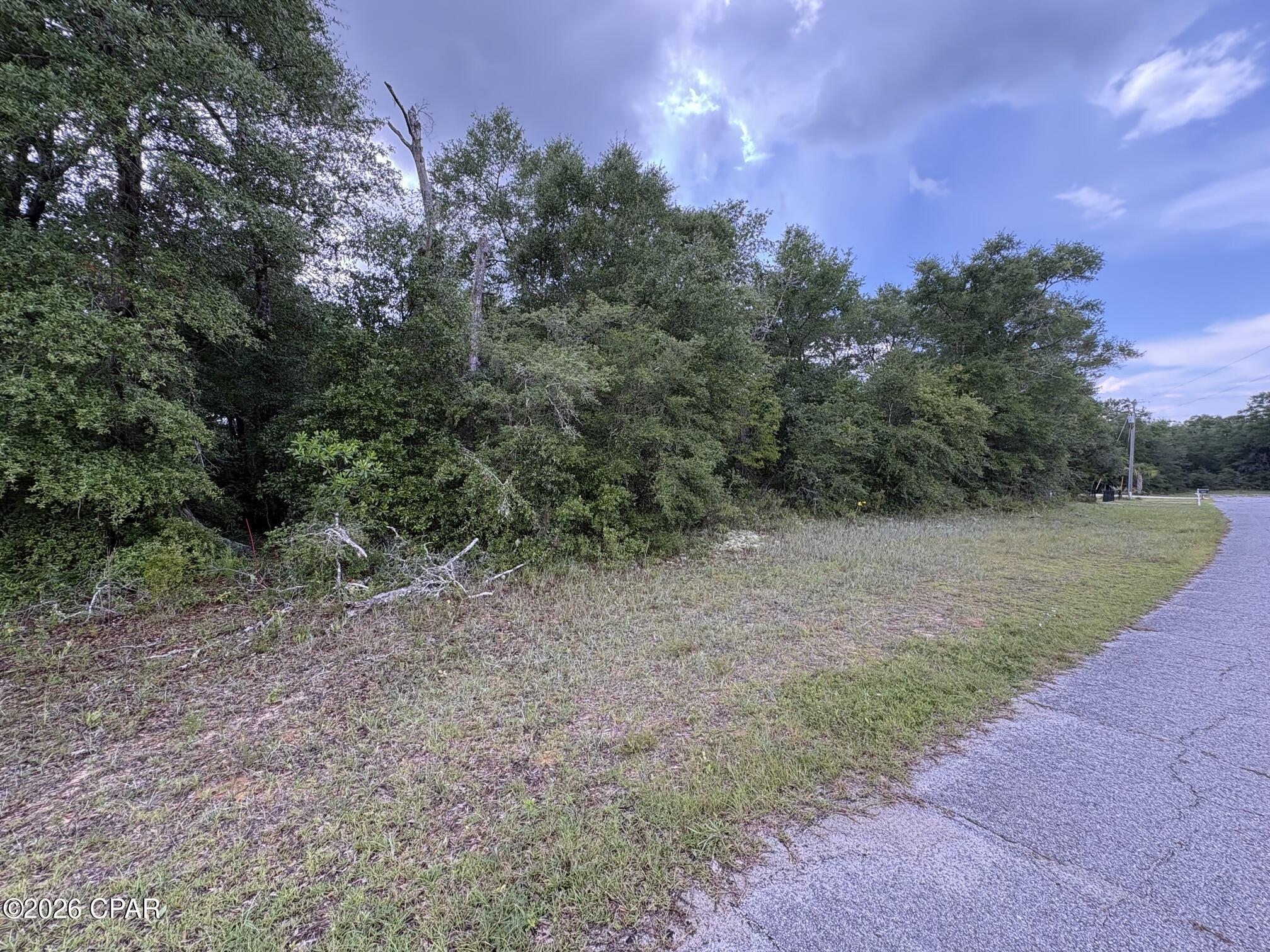 Land in Chipley 2