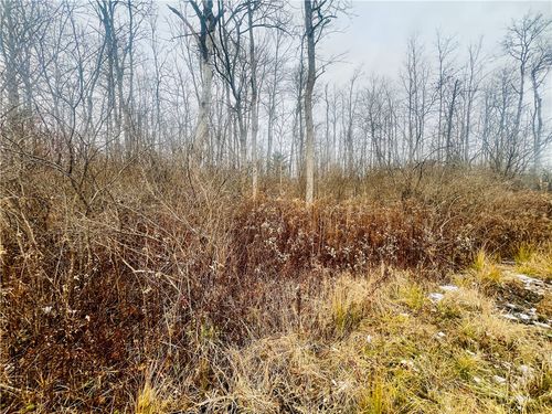 0 Neimi Rd, Ithaca, NY, 14850 | Card Image