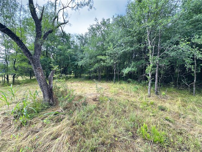 Lot 6 & TBD BTSLP# Emerald Lane, Home with 0 bedrooms, 0 bathrooms and null parking in Corsicana TX | Image 30