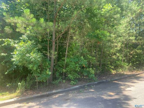 lot-33-LOT 33 Cade Circle, Leesburg, AL, 35983 | Card Image