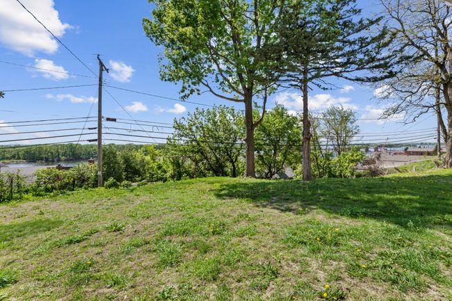 Back Yard | Image 28