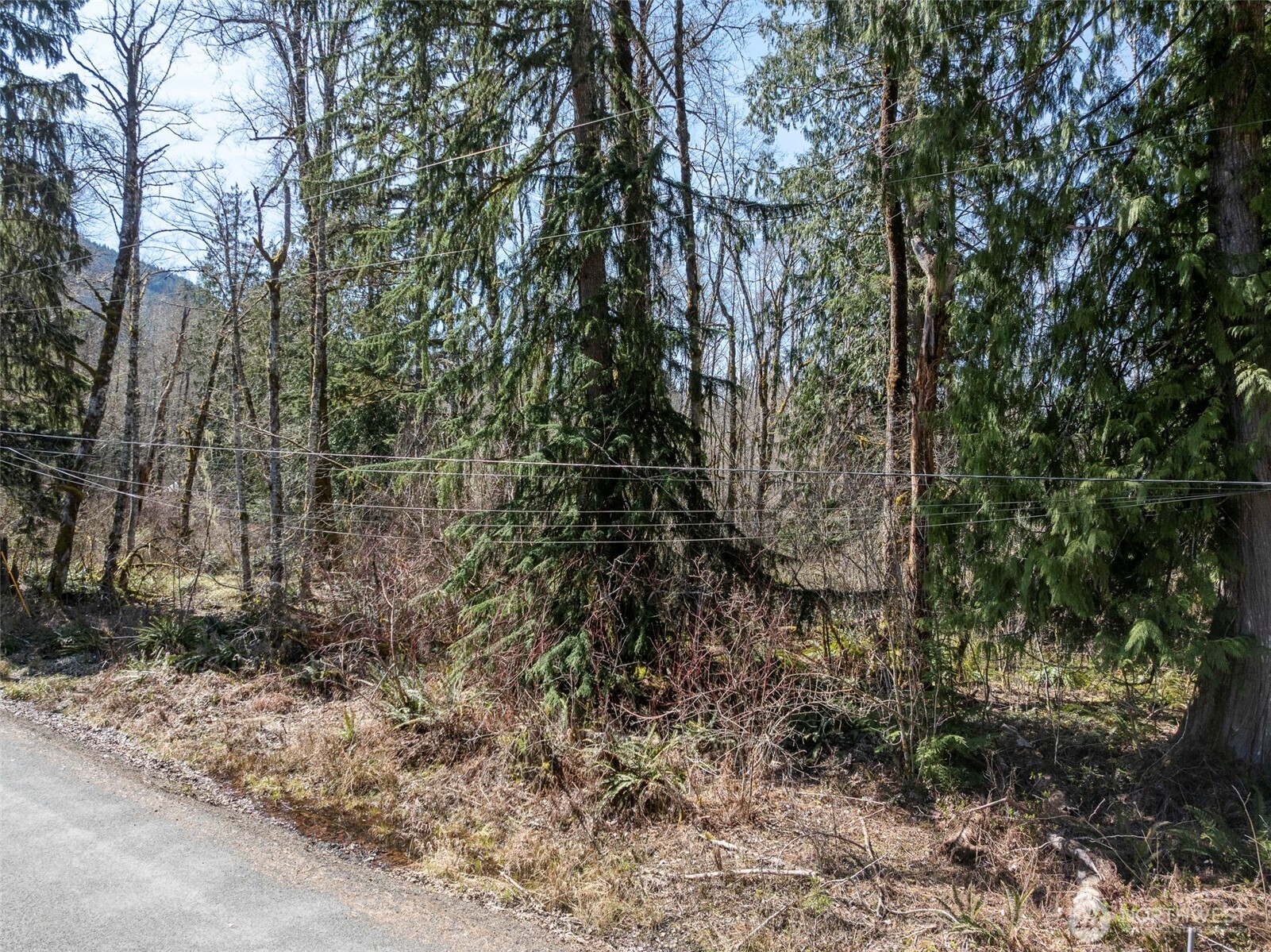 Land in Ashford 3