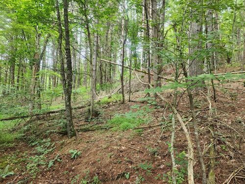 TBD Old Bridle Creek Rd., Independence, VA, 24348 | Card Image