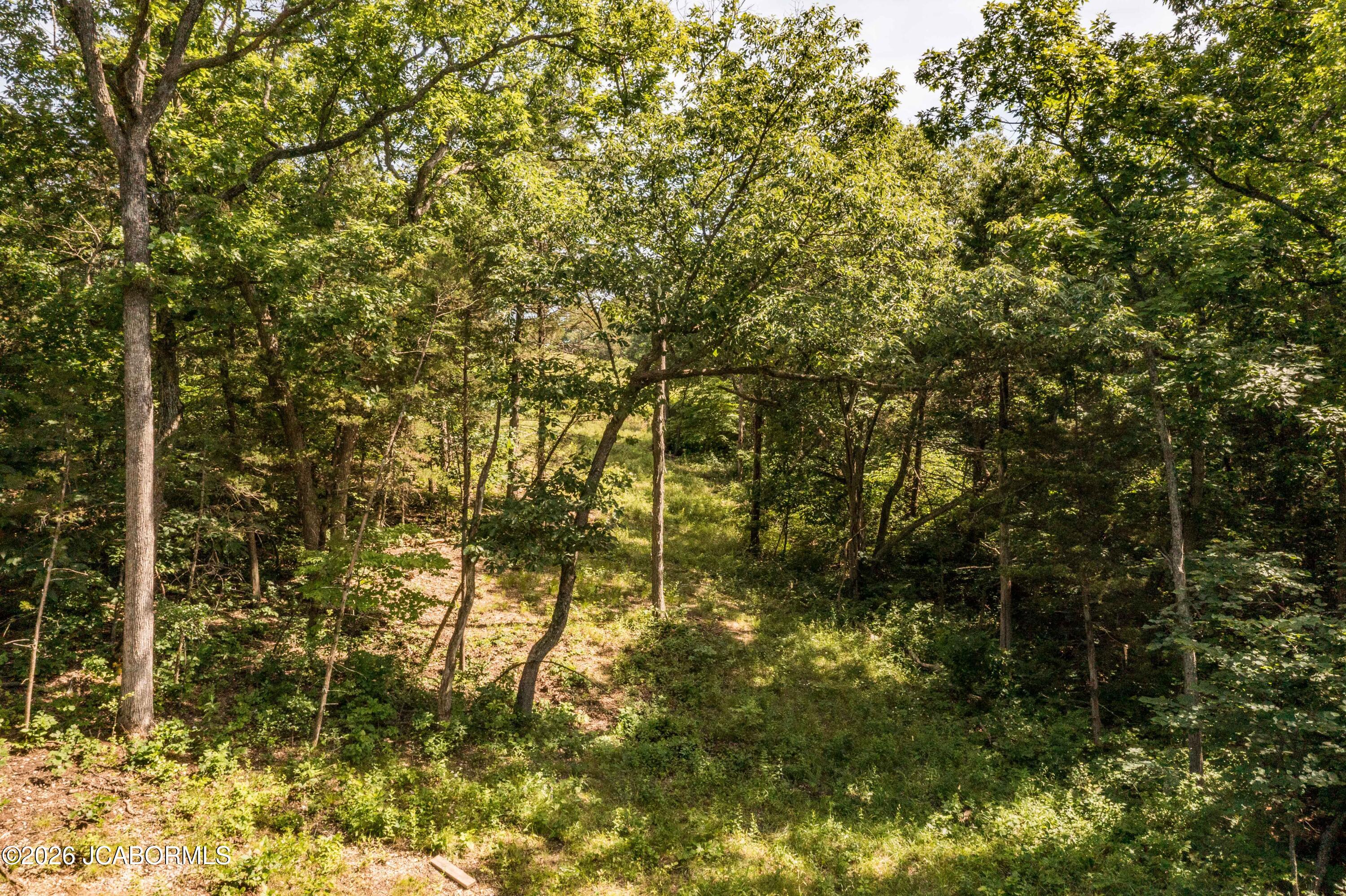 Residential in Russellville 2