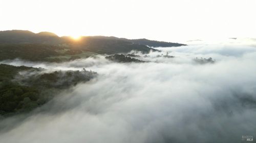 750 Conn Valley Rd, Saint Helena, CA, 94574-9645 | Card Image