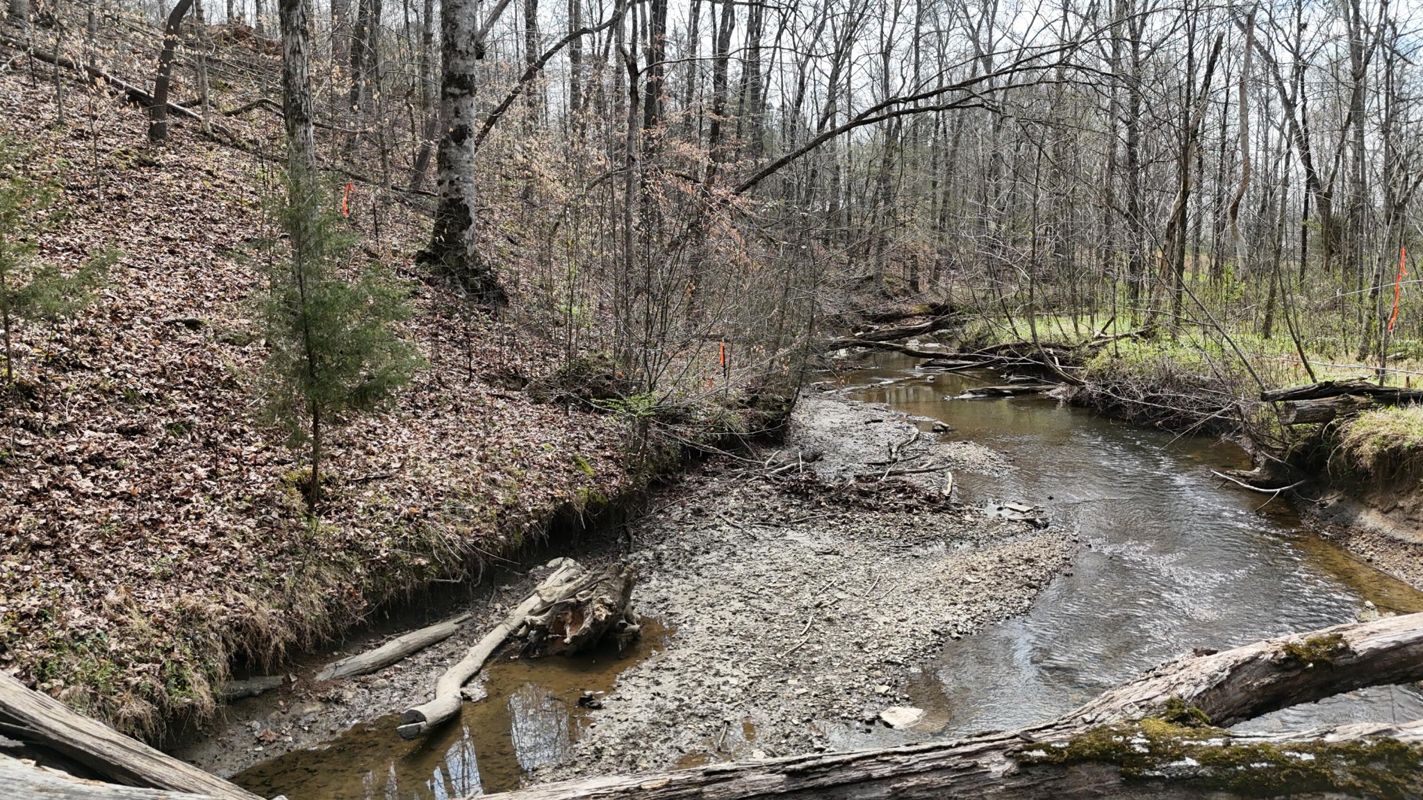 Land in Decatur 4