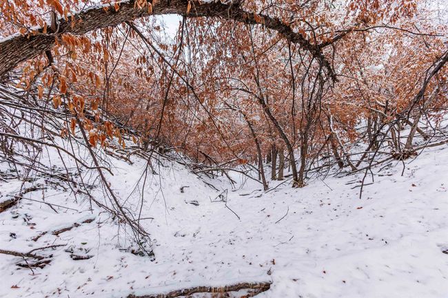 Lot 3 Niobrara Dr, Home with 0 bedrooms, 0 bathrooms and null parking in Whitewood SD | Image 8