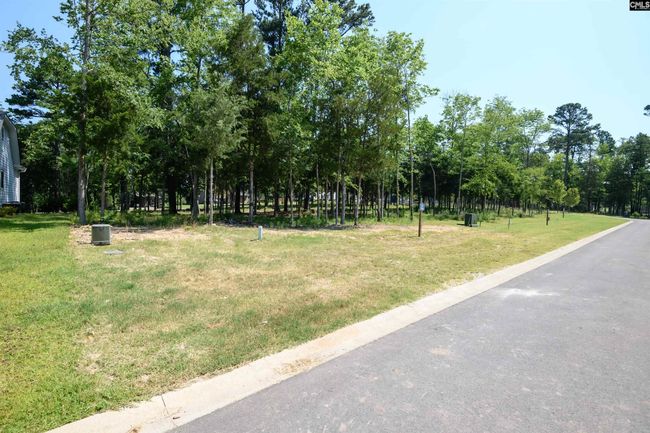 812 Elms Spinney Ln, Home with 0 bedrooms, 0 bathrooms and null parking in Chapin SC | Image 8
