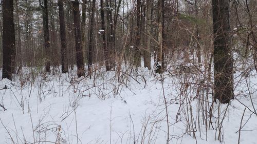 6908 E 18th St, White Cloud, MI, 49349-9327 | Card Image