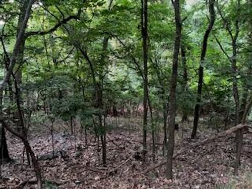Lot 18 Kansas Drive, Monkey Island, OK, 74331 | Card Image