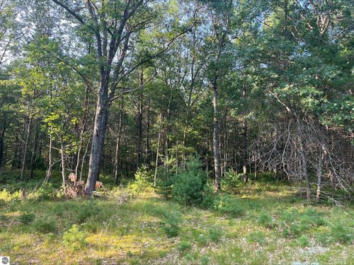 0 Mackenzie Rd, Oscoda, MI, 48750 | Card Image