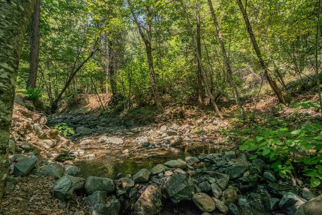 Ripple creek | Image 4