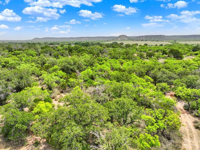 0 Langes Mill Rd, Home with 0 bedrooms, 0 bathrooms and null parking in Doss TX | Image 4