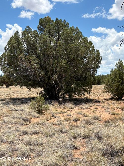 17 Pine Drive, Concho, AZ, 85924 | Card Image