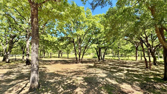 2197 Meadow Way, House other with 4 bedrooms, 3 bathrooms and null parking in Terrell TX | Image 29