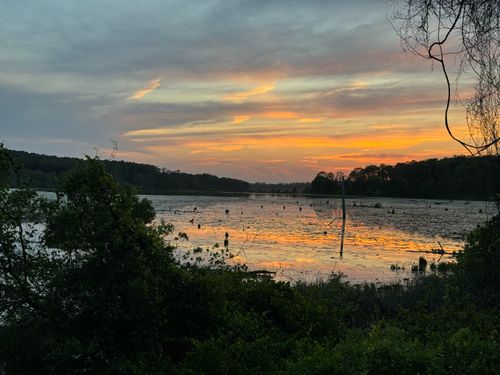 Lot 38 Holley Ln, DeFuniak Springs, FL, 32435-3450 | Card Image