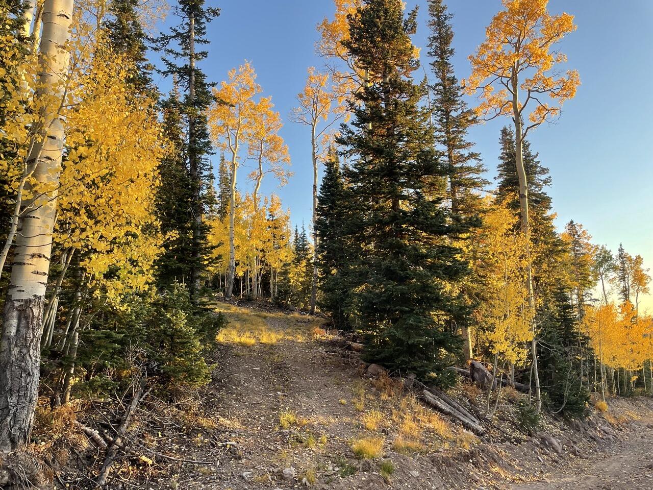 302 E Snowshoe Dr, For Sale in Brian Head Zoocasa