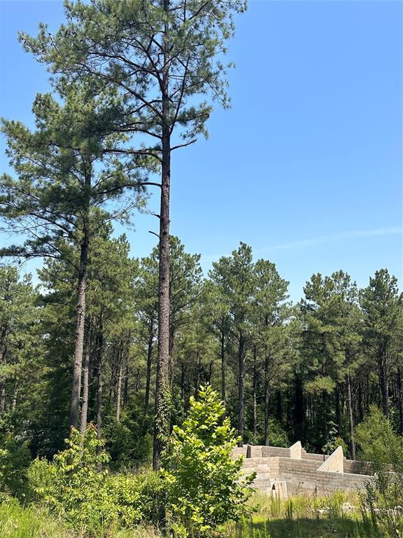 Land in Broken Bow 3
