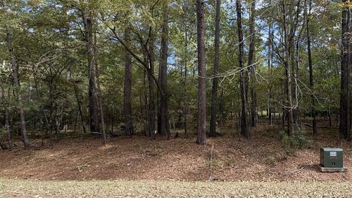 103 Green Tree Dr, Coldspring, TX, 77331 | Card Image