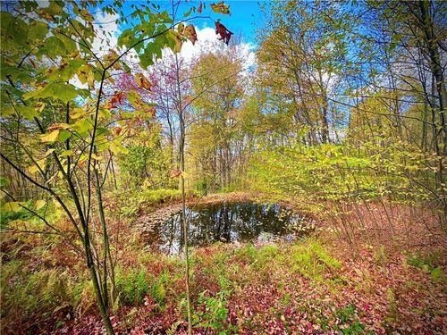 3245 Baxter Mountain Road, Colchester, NY, 13755 | Card Image