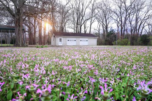 20838 Highway 72, Tuscumbia, AL, 35674-TU | Card Image
