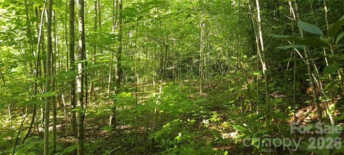 Lot# 19 Mill Creek Road, Old Fort, NC, 28762 | Card Image
