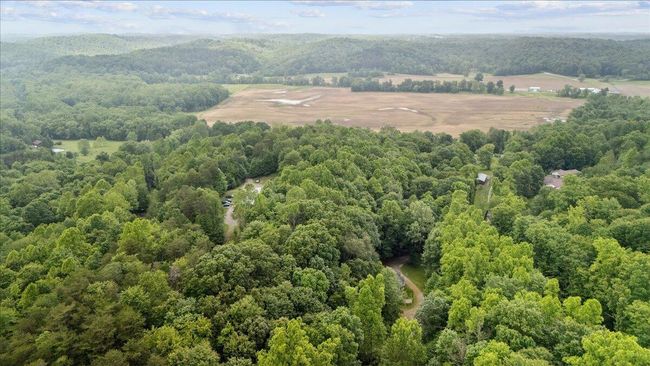 Aerial View | Image 38