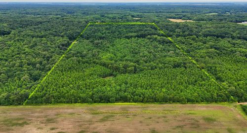 2502 Highway 163, Wynne, AR, 72396-8524 | Card Image