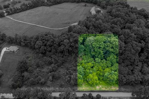 8 Clear Springs Rd, Limestone, TN, 37681 | Card Image
