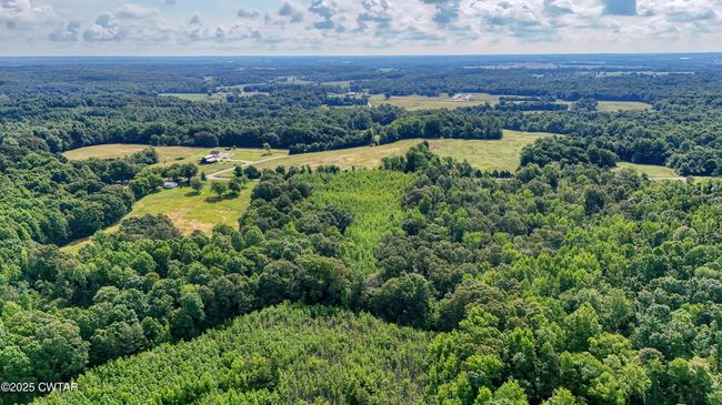 0 Ables Rd, Home with 0 bedrooms, 0 bathrooms and null parking in Cottage Grove TN | Image 14