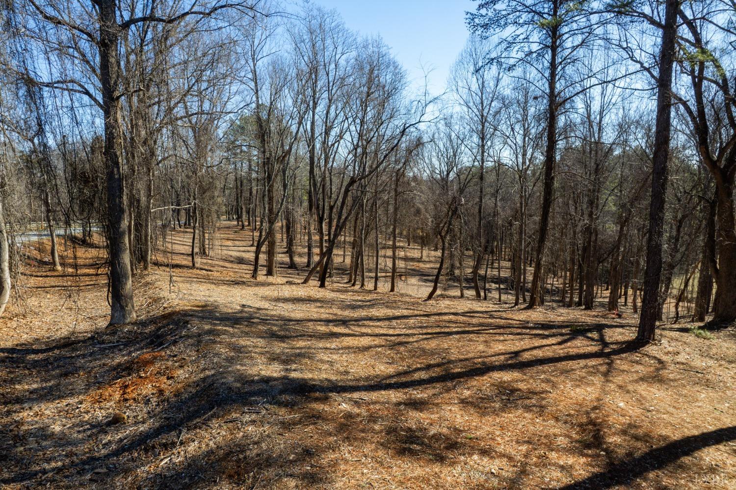 Land in Lynchburg