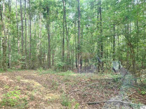 00 7 Runs Rd, Columbia, LA, 71418 | Card Image