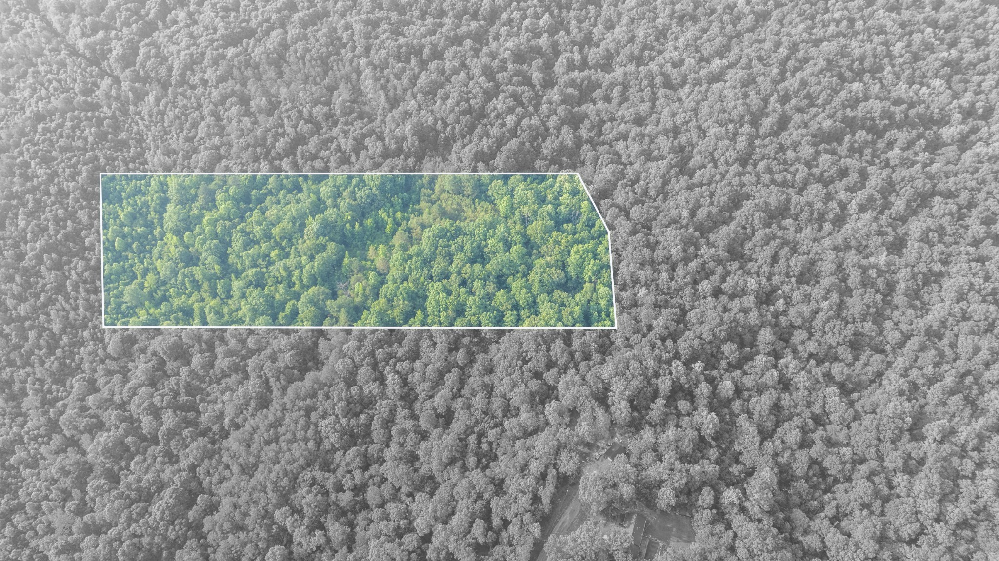 Land in Lexington 4