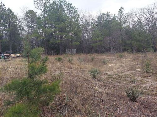 1115 Hickory Dr, Harleton, TX, 75651-4033 | Card Image