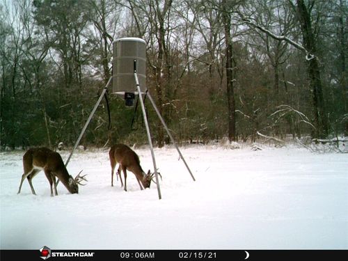 473 Fm 3478 Rd, Huntsville, TX, 77320 | Card Image