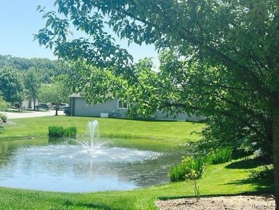 View of pond from front window | Image 3