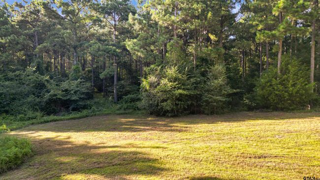 TBD 17.57 ACRES Fm 2274, Home with 1 bedrooms, 1 bathrooms and null parking in Troup TX | Image 13