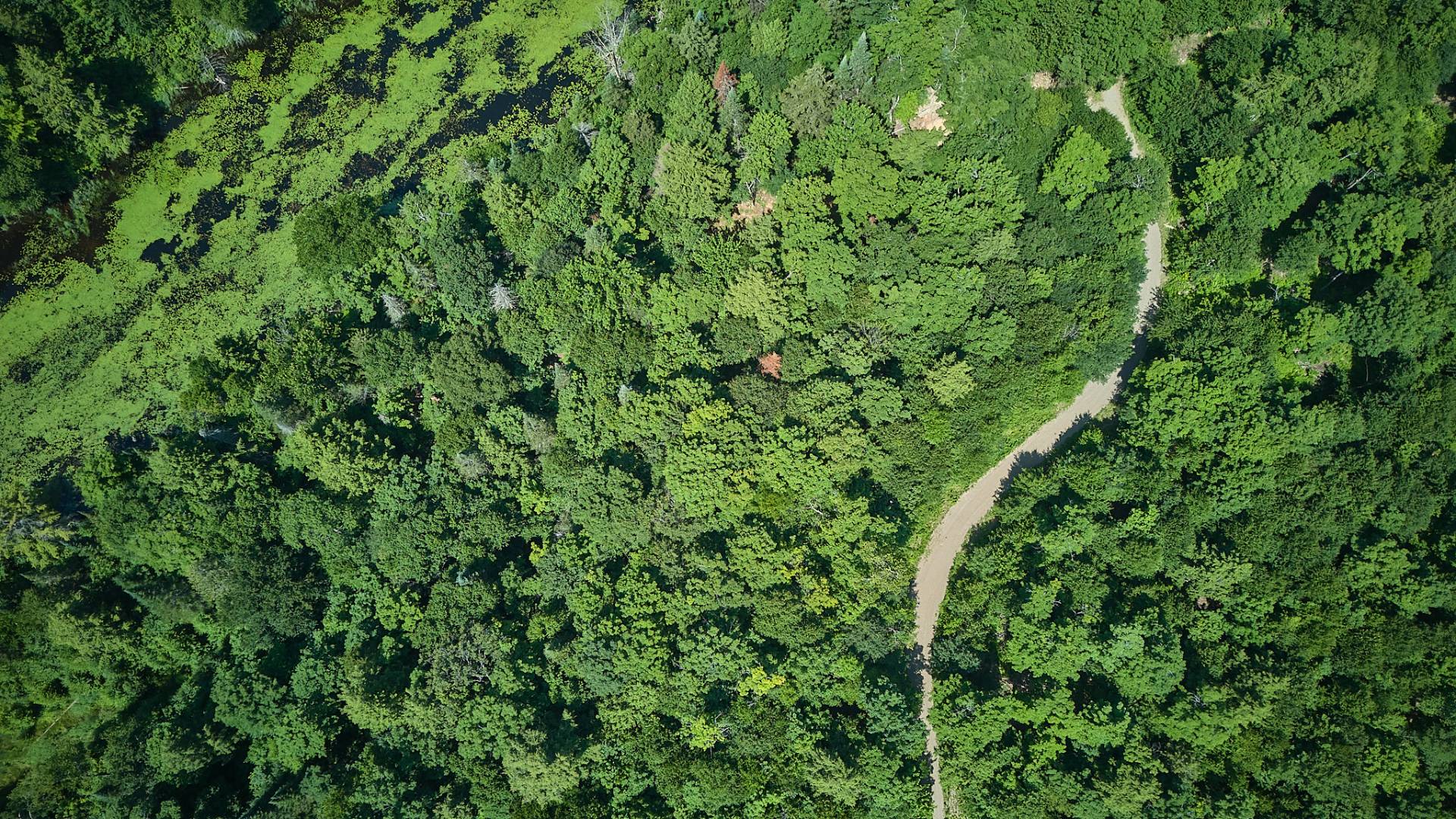 Land in Grenville-sur-la-Rouge 2