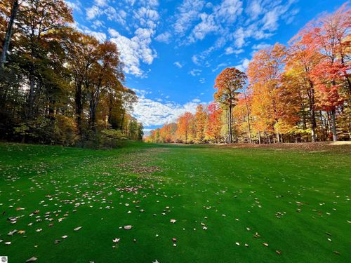 V/L 51 Troon South, Bellaire, MI, 49615 | Card Image