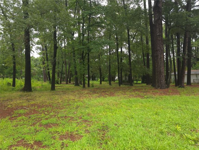 208 Mountain View Dr, Home with 0 bedrooms, 0 bathrooms and null parking in Daingerfield TX | Image 6
