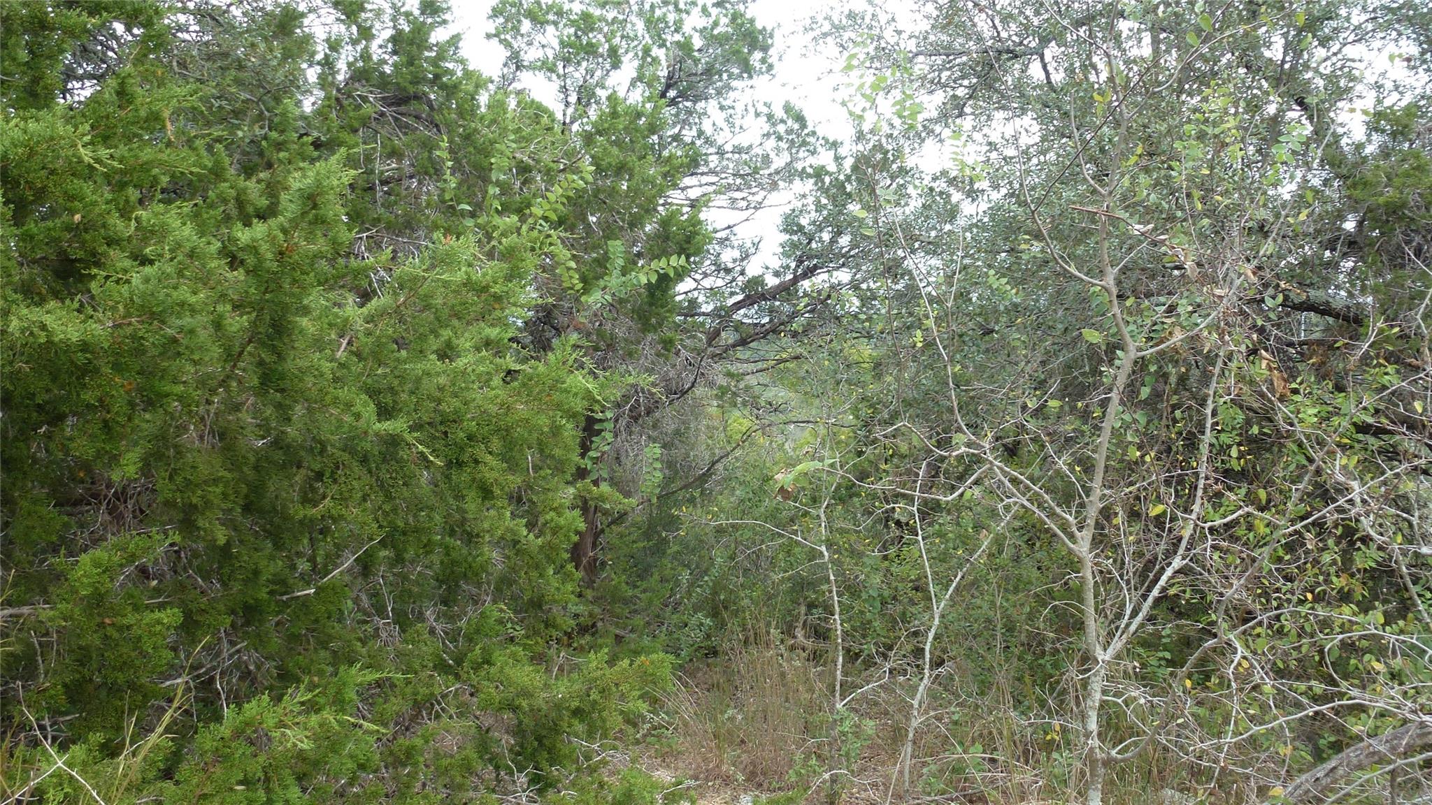 Land in Lago Vista 4