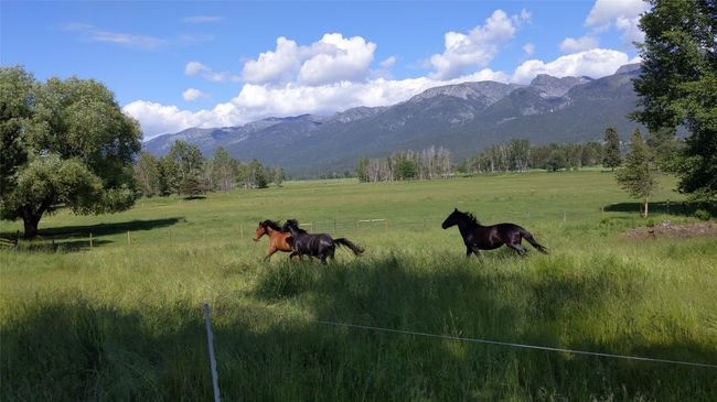 Mountain view and pasture | Image 36