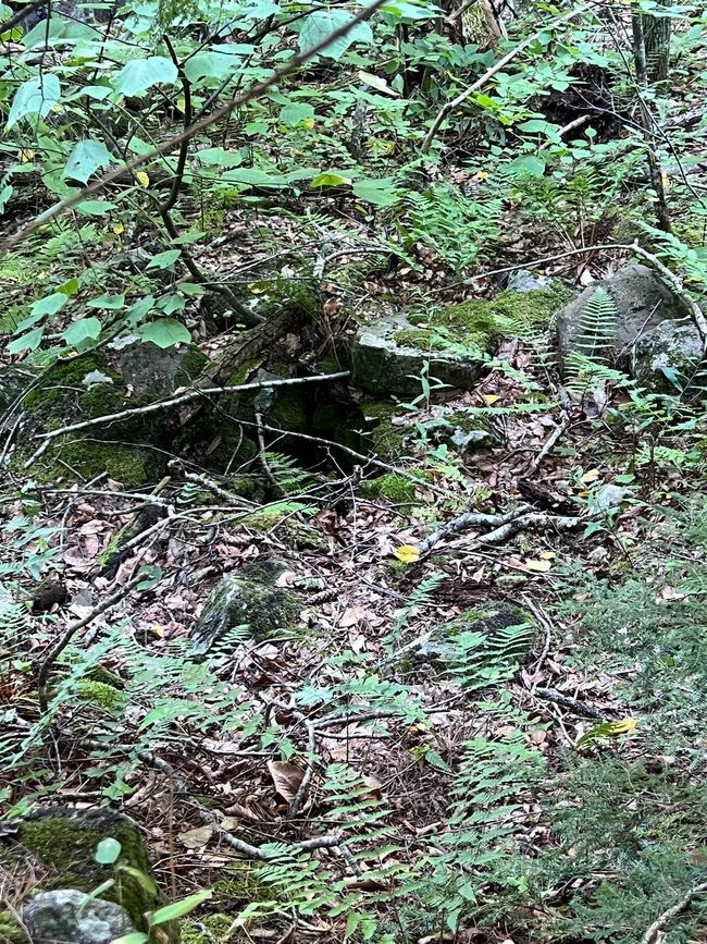 This is a non-functioning well by Pond Brook, just below the old grist mill foundation. | Image 4