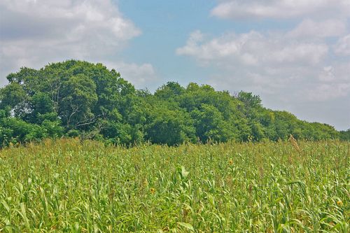2417 County Road 211, Alvarado, TX, 76009-8015 | Card Image