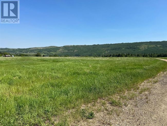 40 East Of Highway 684 Shaftsbury Trail Highway, Home with 0 bedrooms, 0 bathrooms and null parking in Peace River AB | Image 6