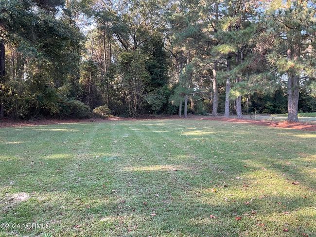 157 Dollie Ln, House other with 3 bedrooms, 2 bathrooms and null parking in Albertson NC | Image 10
