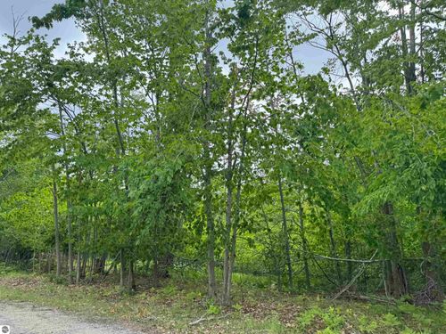 00 Snow Goose Cir, Gaylord, MI, 49735 | Card Image
