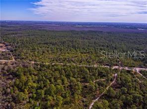 Land in ORLANDO 5