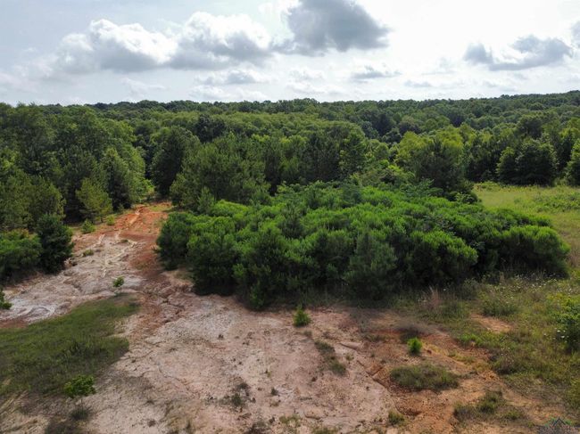 0000 State Highway 43 E, Home with 0 bedrooms, 0 bathrooms and null parking in Tatum TX | Image 16