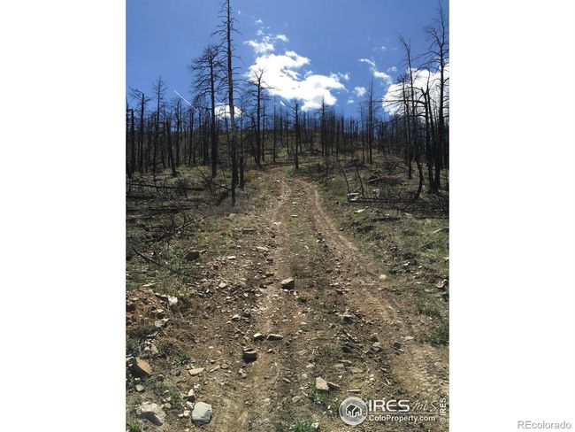 3600 Moondance Way, Home with 0 bedrooms, 0 bathrooms and null parking in Bellvue CO | Image 13